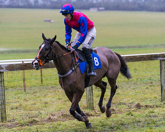 Race 7 - Maiden Conditions (33 of 108)