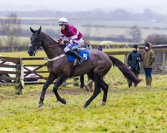 Race 7 - Maiden Conditions (36 of 108)