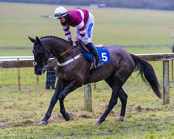Race 7 - Maiden Conditions (40 of 108)
