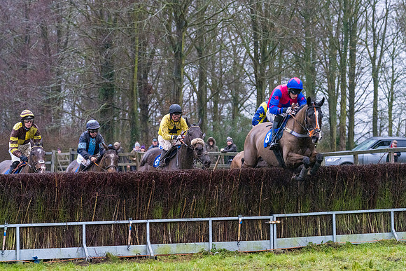 Race 7 - Maiden Conditions (46 of 108)