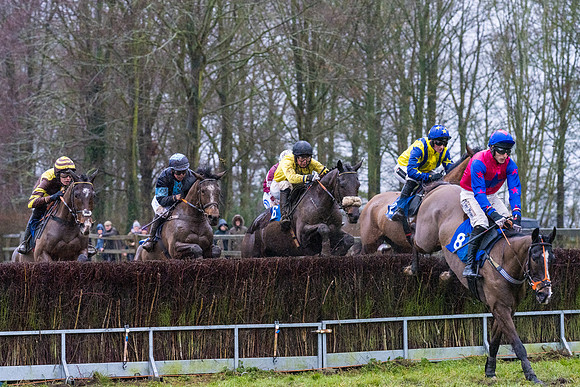 Race 7 - Maiden Conditions (48 of 108)