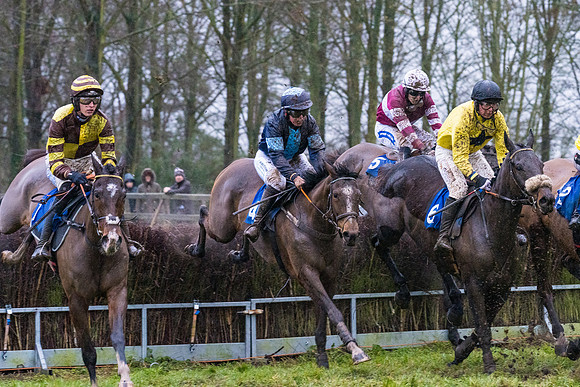 Race 7 - Maiden Conditions (52 of 108)