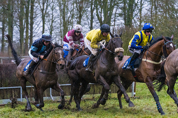 Race 7 - Maiden Conditions (54 of 108)