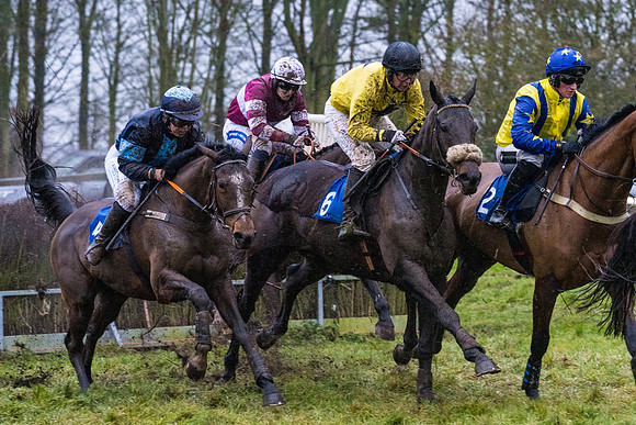 Race 7 - Maiden Conditions (55 of 108)