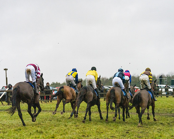 Race 7 - Maiden Conditions (60 of 108)