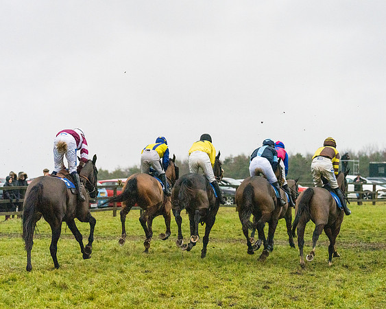 Race 7 - Maiden Conditions (61 of 108)