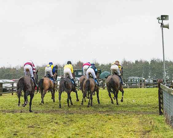 Race 7 - Maiden Conditions (62 of 108)