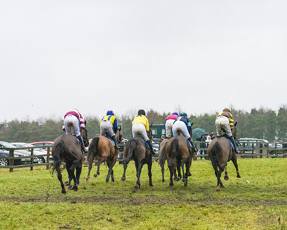 Race 7 - Maiden Conditions (63 of 108)