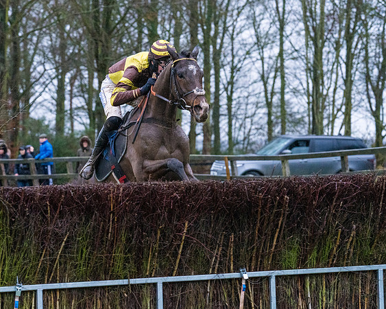 Race 7 - Maiden Conditions (64 of 108)