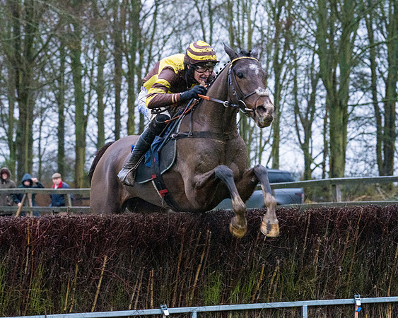 Race 7 - Maiden Conditions (66 of 108)