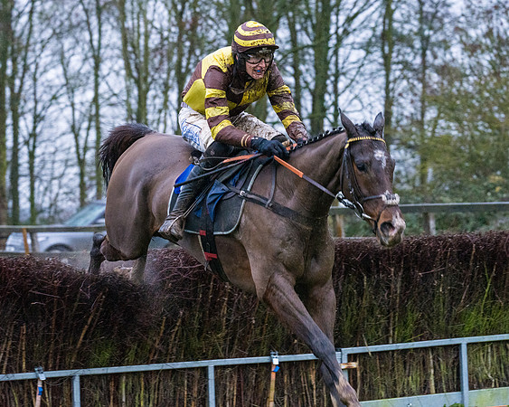 Race 7 - Maiden Conditions (68 of 108)