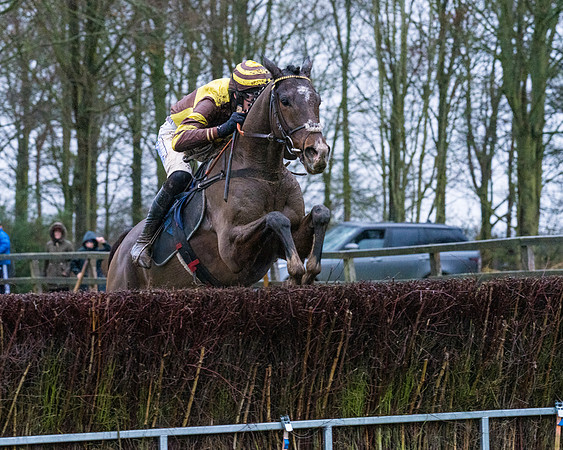 Race 7 - Maiden Conditions (65 of 108)