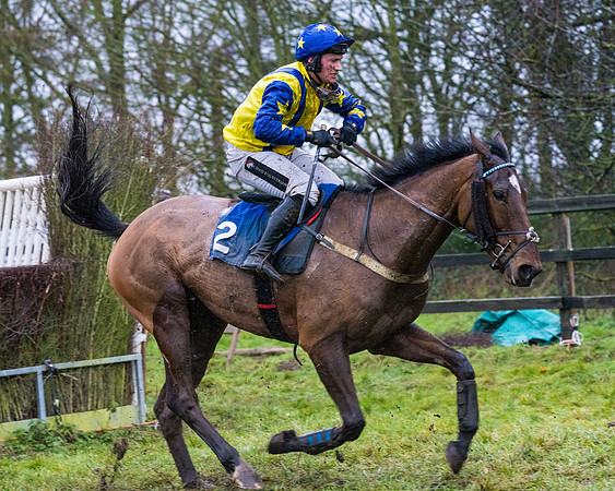 Race 7 - Maiden Conditions (75 of 108)