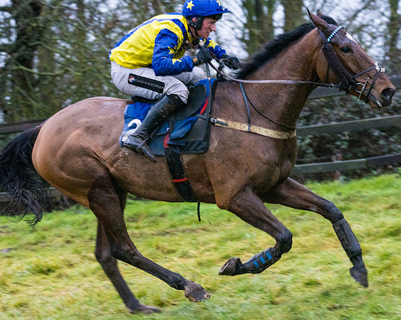 Race 7 - Maiden Conditions (77 of 108)
