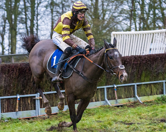 Race 7 - Maiden Conditions (69 of 108)