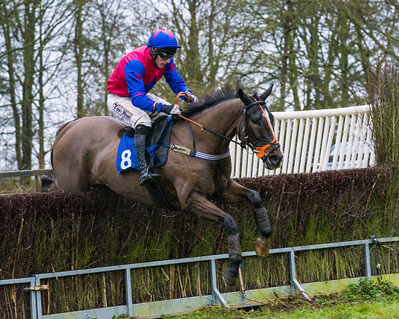 Race 7 - Maiden Conditions (70 of 108)