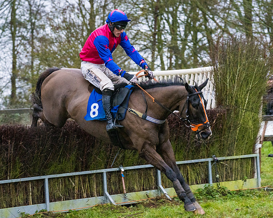 Race 7 - Maiden Conditions (71 of 108)