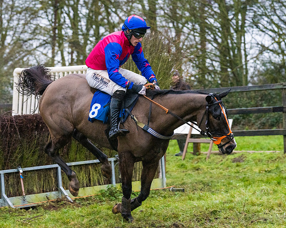 Race 7 - Maiden Conditions (73 of 108)