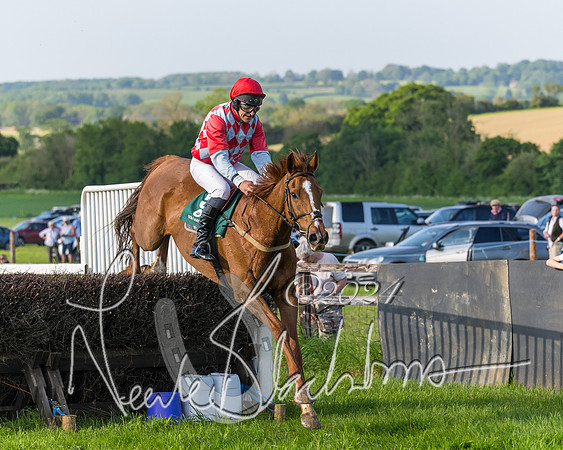 Race 7 - Veteran Horse (176 of 246)