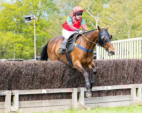 Race 2 - Veteran Horse (78 of 80)