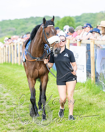 Race 6 - Intermediate (19 of 212)