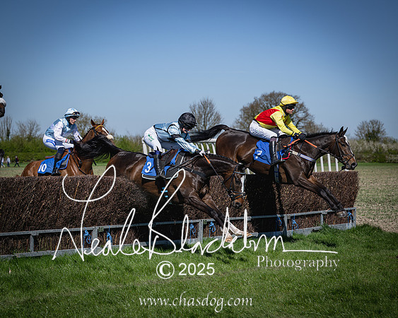 Race 2 - The Maiden (55 of 118)