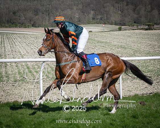 Race 5 - The restricted (39 of 113)
