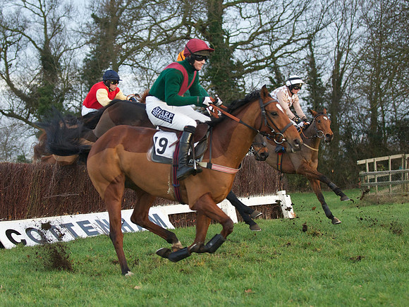 CHHC - Young Horse Maiden Division 2