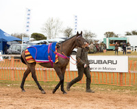 Race 4 - Ladies Open (5 of 85).jpg