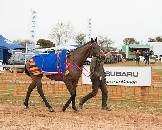 Race 4 - Ladies Open (5 of 85).jpg