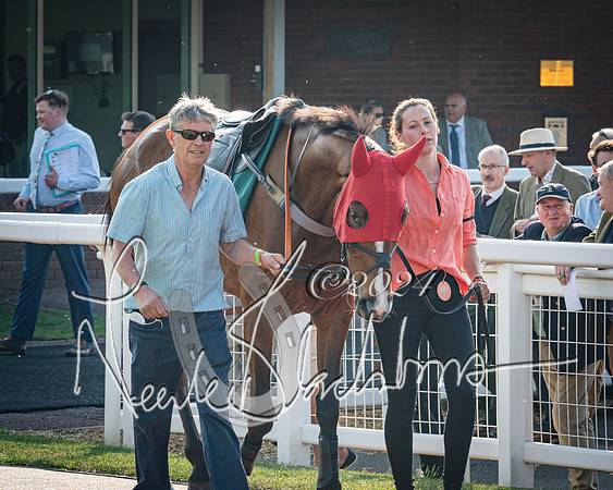 Race 3 - The Junior Jumpers open hunter's steeple chase 3m1f56y (17 of 156)