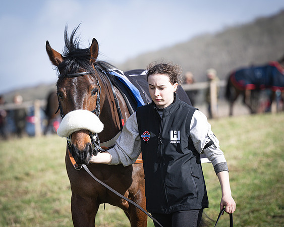 Race 1 - Four and Five year Old Maiden (11 of 137)