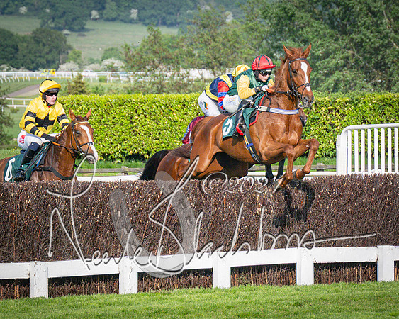 Race 3 - The Junior Jumpers open hunter's steeple chase 3m1f56y (48 of 156)-2
