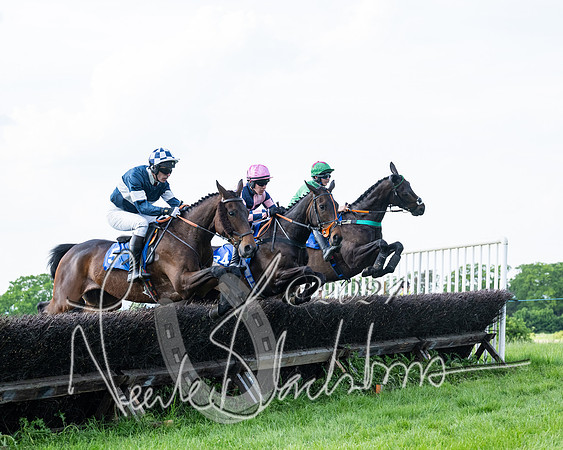 Race 5  - Maiden race 2m5F Div-2 (133 of 205)