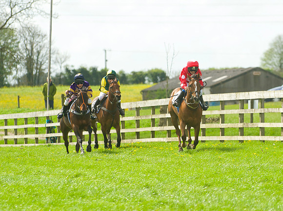 Pony Race - 2    32