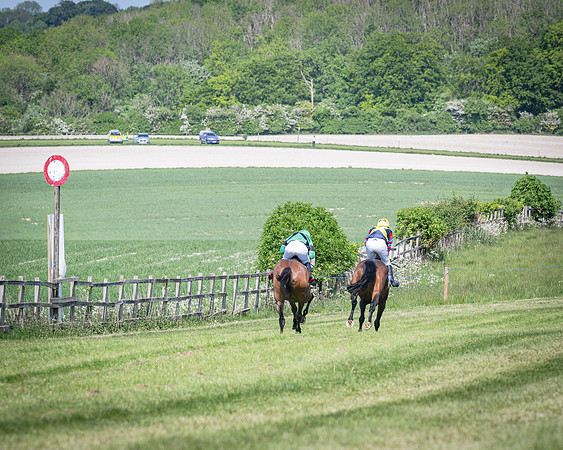 Race 3 The College and County Ladies Open Race (93 of 122)