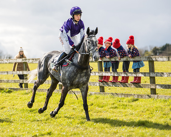 Race 5 - Restricted  (2 of 118)