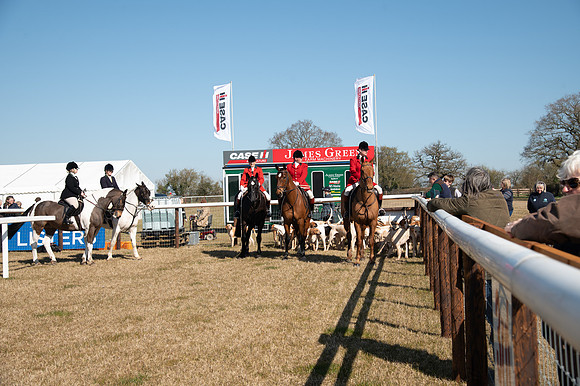 Hunt Horses annd Hound parade (5 of 44)