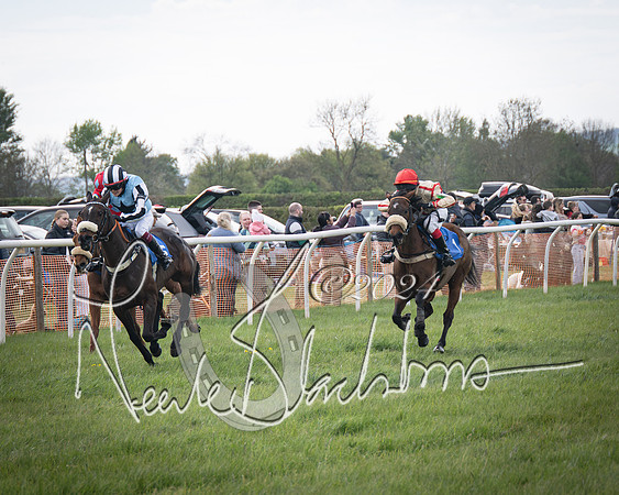 Pony Race 2 (42 of 84)-