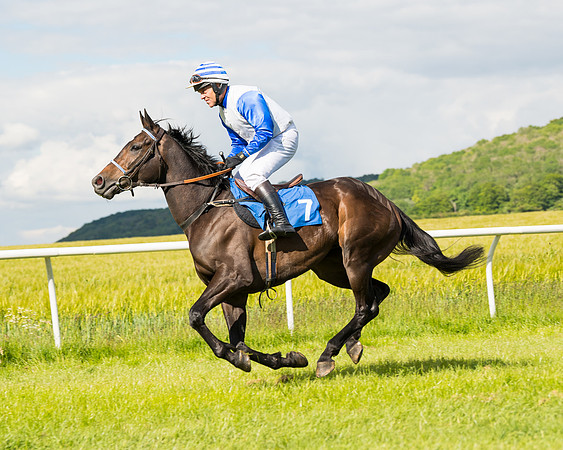 Race 5 - Restricted  (18 of 136)