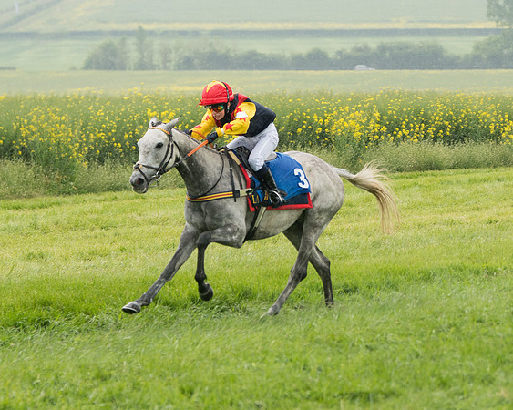 Pony Race 2 (56 of 113)