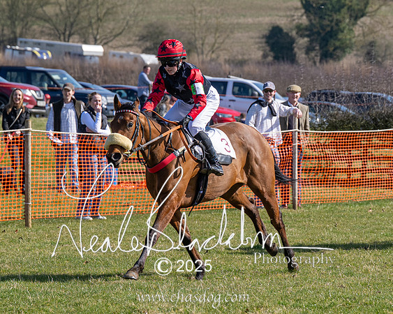 Pony Race 1 - Novice (15 of 38)