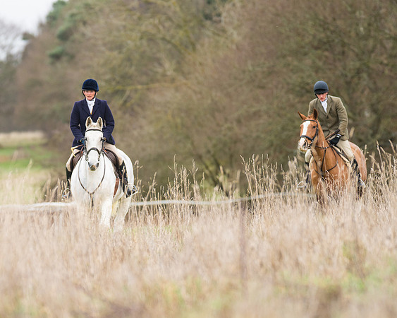 Hunt Horses (1 of 38)
