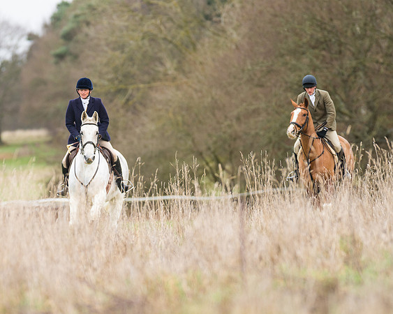 Hunt Horses (2 of 38)