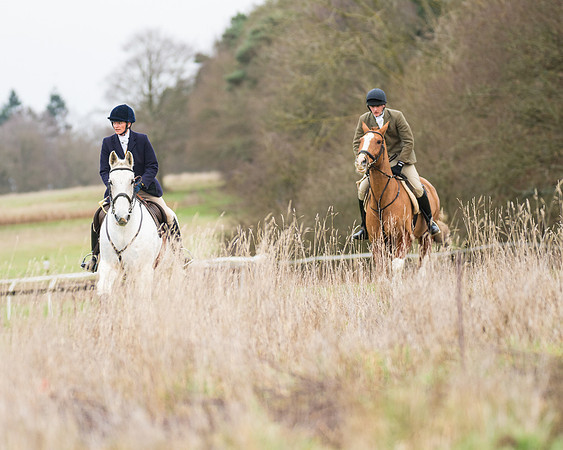 Hunt Horses (3 of 38)