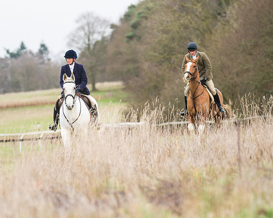 Hunt Horses (4 of 38)