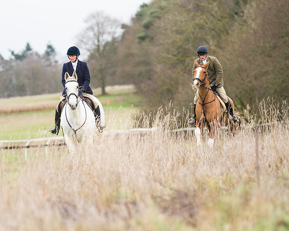 Hunt Horses (5 of 38)