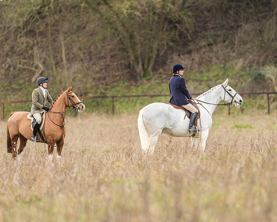 Hunt Horses (6 of 38)