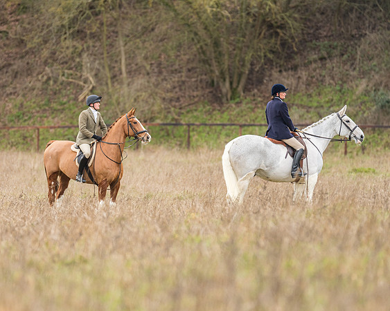 Hunt Horses (7 of 38)