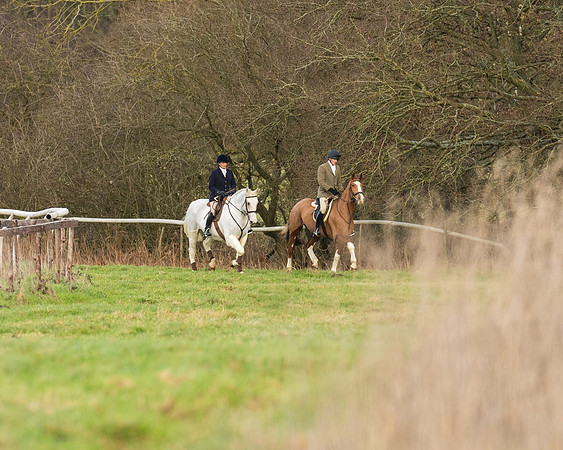 Hunt Horses (8 of 38)